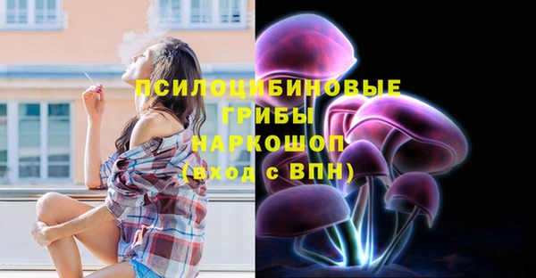 стафф Аркадак