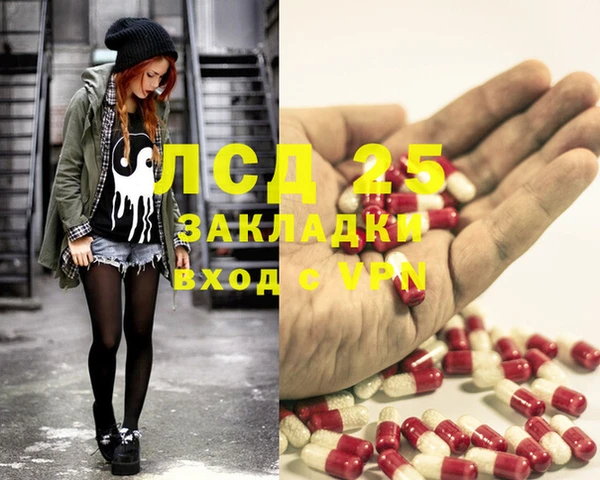 стафф Аркадак