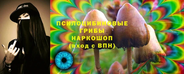 дурь Арсеньев